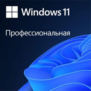 MS Windows 11 Professional DOEM